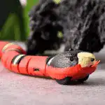 Smart Snake Toy
