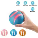 Smart Ball Dog Toy