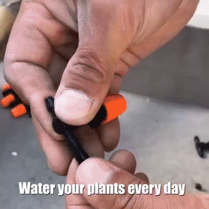 Automated watering system