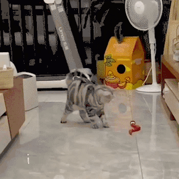 Realistic snake toy